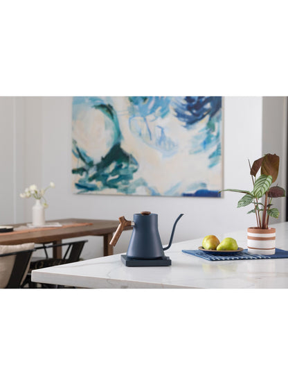 Stagg EKG Kettle