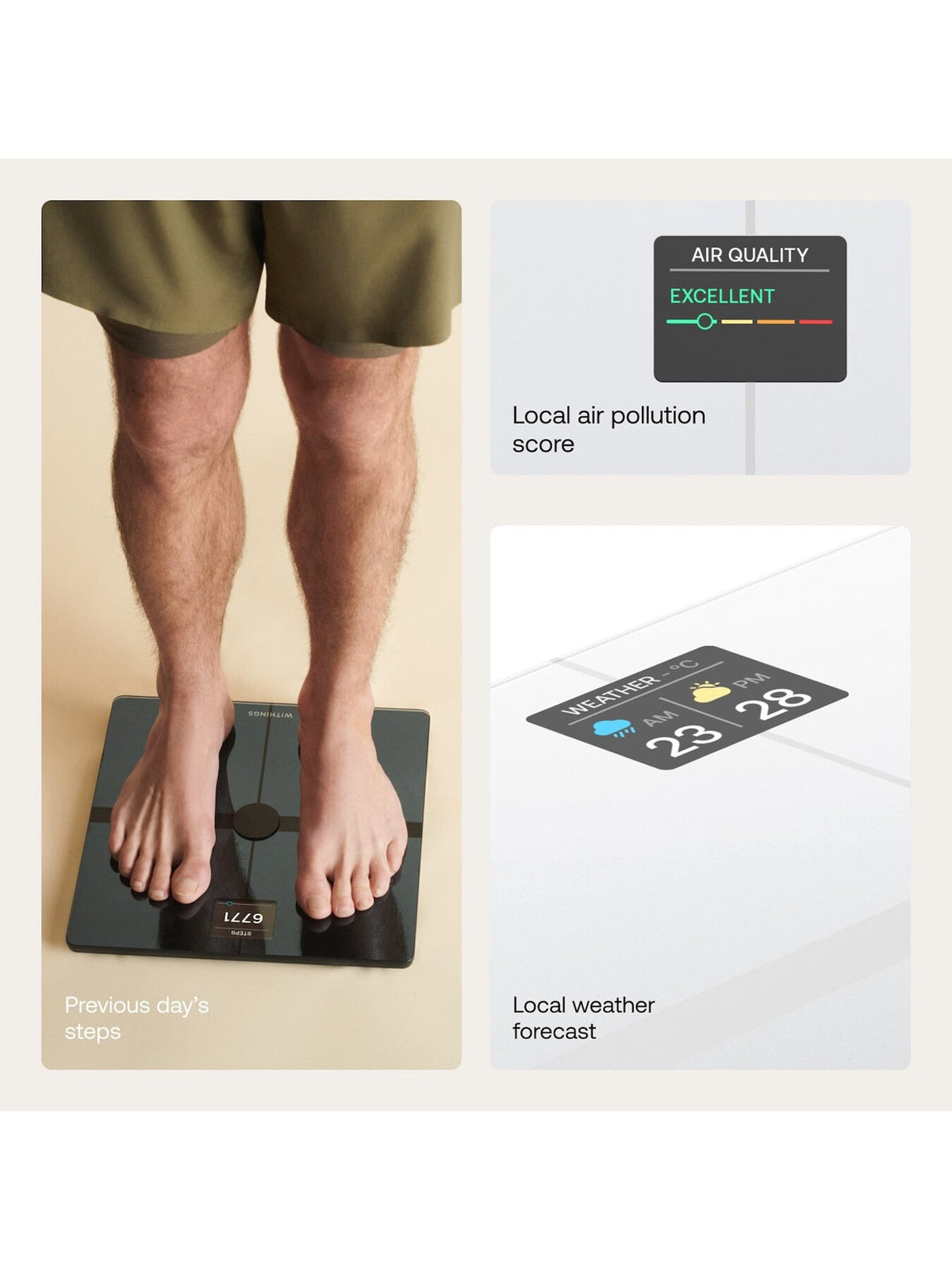 Body Smart Scale